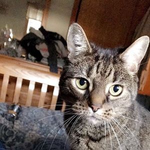 Meet your Posher, Shannon